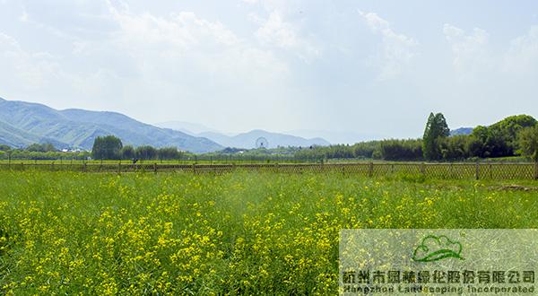 人生就是博(中国游)尊龙官方网站