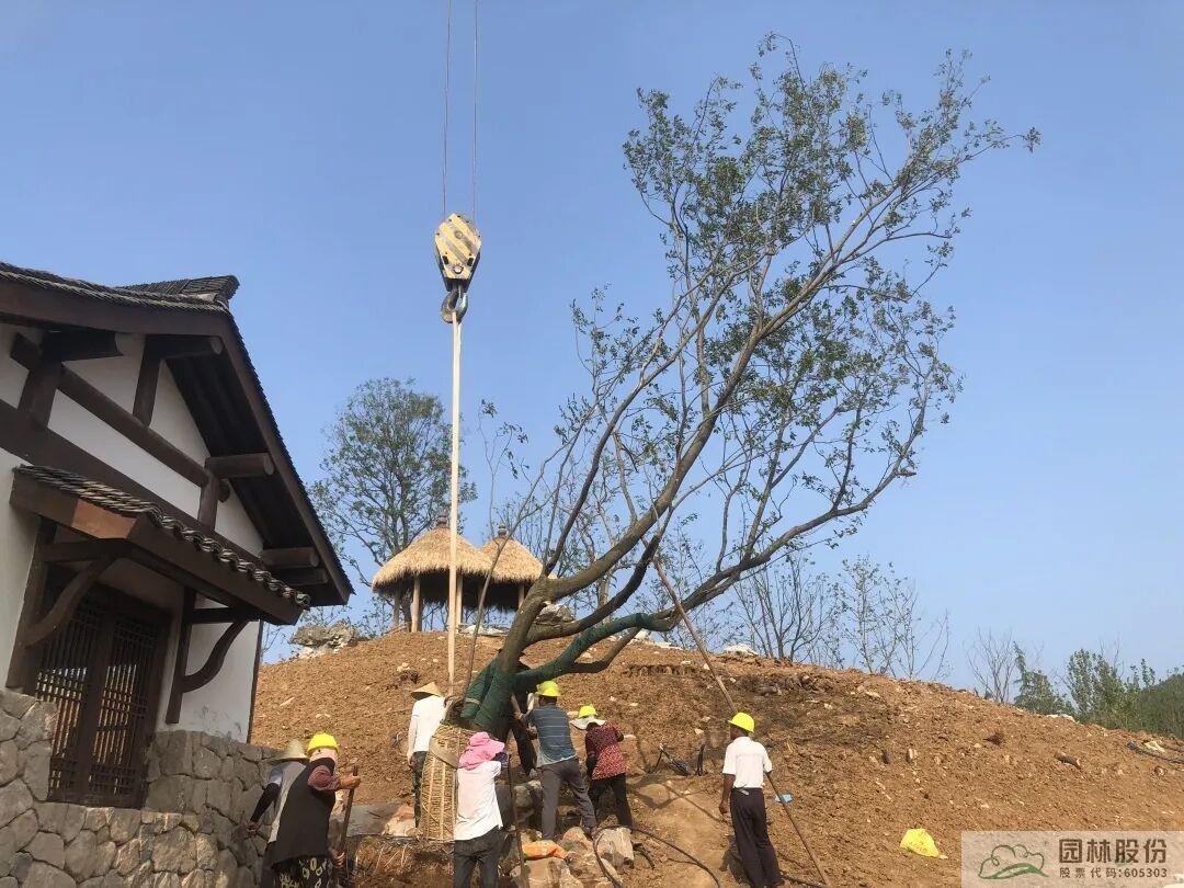 人生就是博(中国游)尊龙官方网站