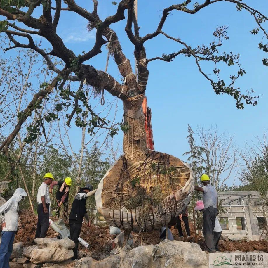 人生就是博(中国游)尊龙官方网站