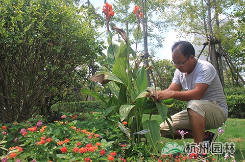 人生就是博(中国游)尊龙官方网站