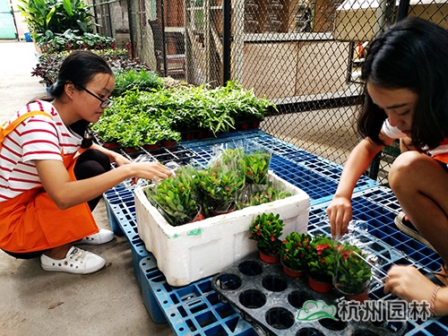 人生就是博(中国游)尊龙官方网站