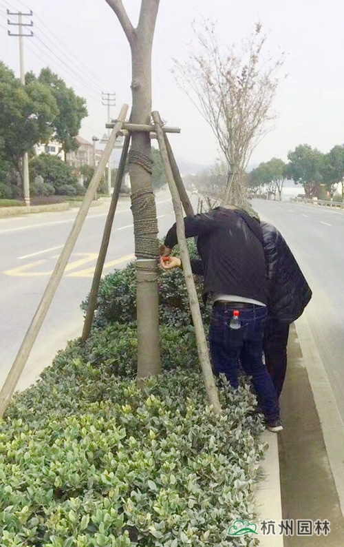 人生就是博(中国游)尊龙官方网站